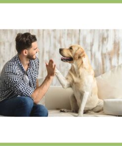 Certificado de mascota de apoyo emocional